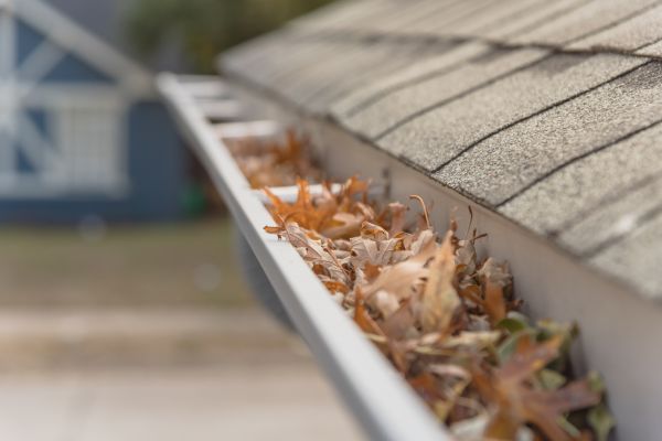 Leaf Barrier Installation in Macomb